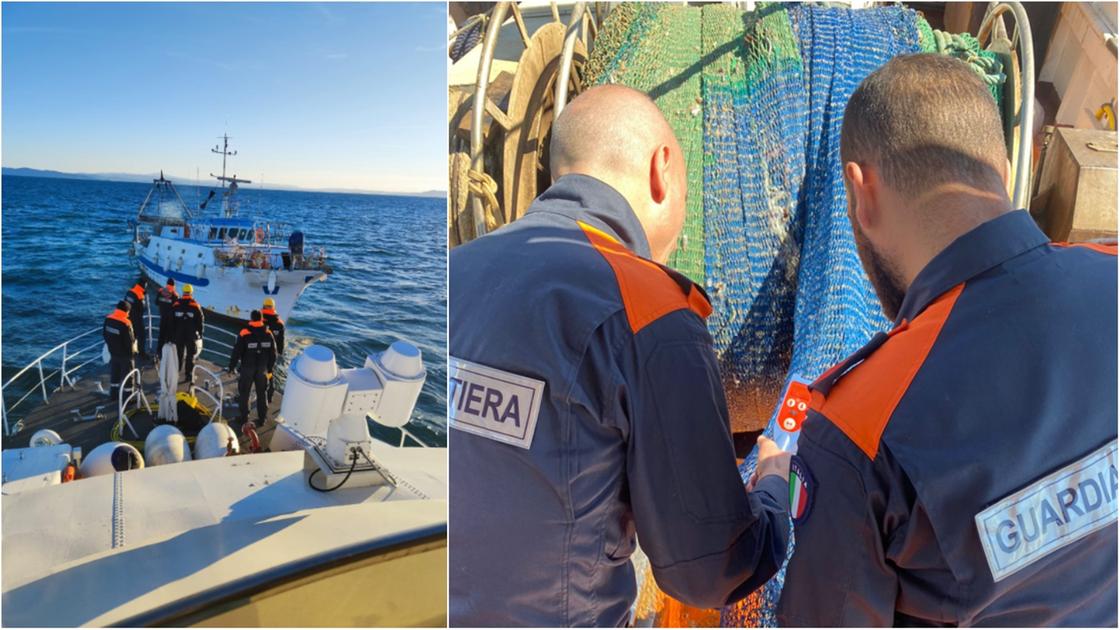 Operazione ‘Etrurian Fish’, sequestrate tre tonnellate di prodotti ittici e chiusi due ristoranti Operazione ‘Etrurian Fish’, sequestrate tre tonnellate di prodotti ittici e chiusi due ristoranti