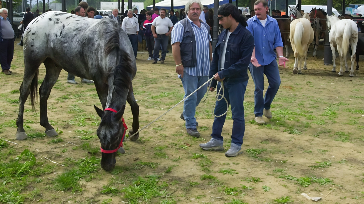 Torna oggi anche la tradizionale fiera degli animali al Foro Boario (Alcide)
