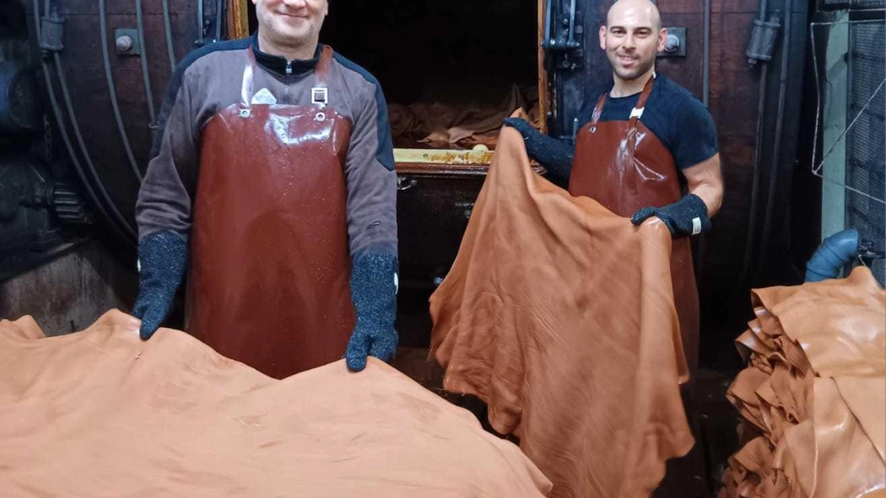Un momento della fase di conciatura delle pelli di alta qualità per la moda in una conceria del distretto del Comprensorio del Cuoio Un momento della fase di conciatura delle pelli di alta qualità per la moda in una conceria del distretto del Comprensorio del Cuoio