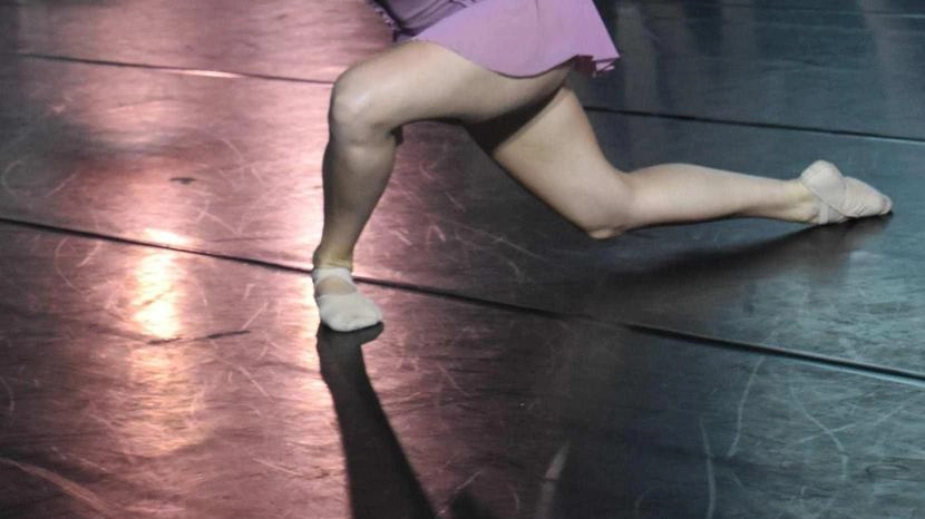 Il Festival ha coinvolto le scuole di danza della città con grande partecipazione Il Festival ha coinvolto le scuole di danza della città con grande partecipazione