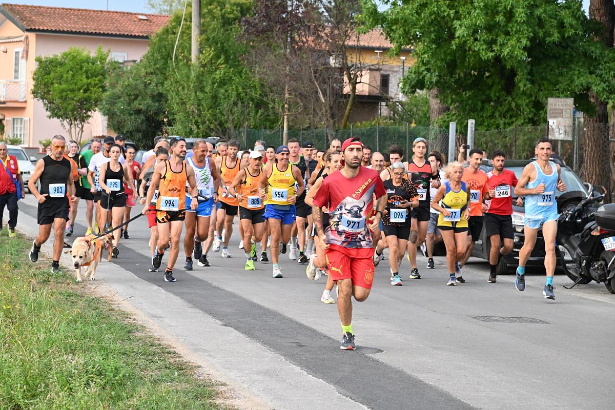 trofeo festa dell unit224 di pieve a nievole le foto della corsa