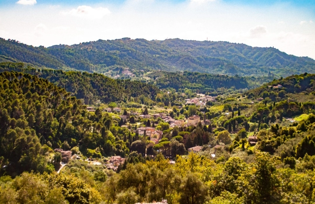 immagine di sfondo 6