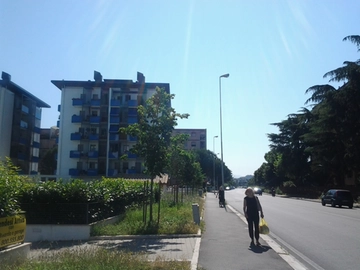 immagine articolo