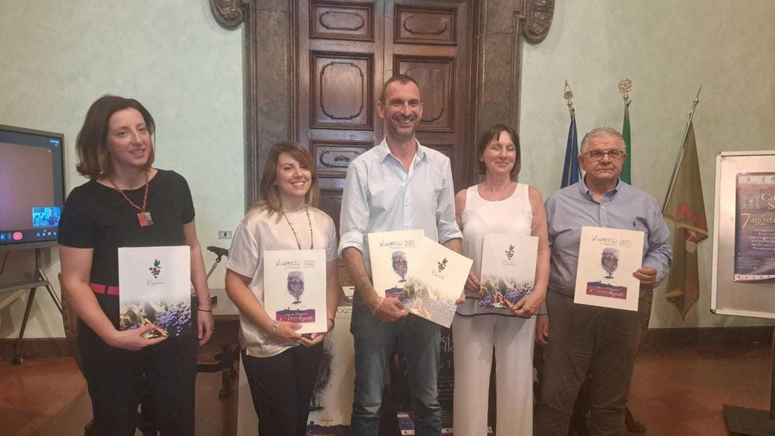 calici di stelle e vinarelli a torgiano un brindisi all8217arte per l8217estate