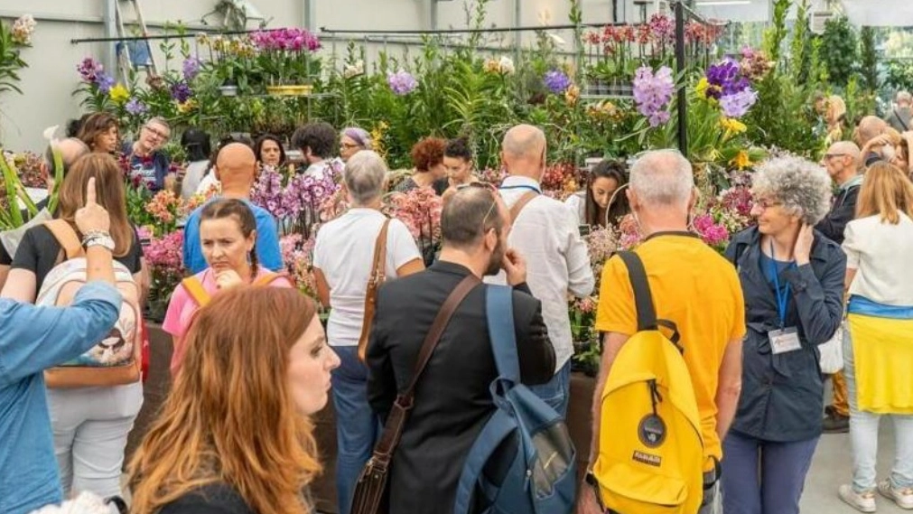 Pistoia, torna la mostra mercato Orchidea