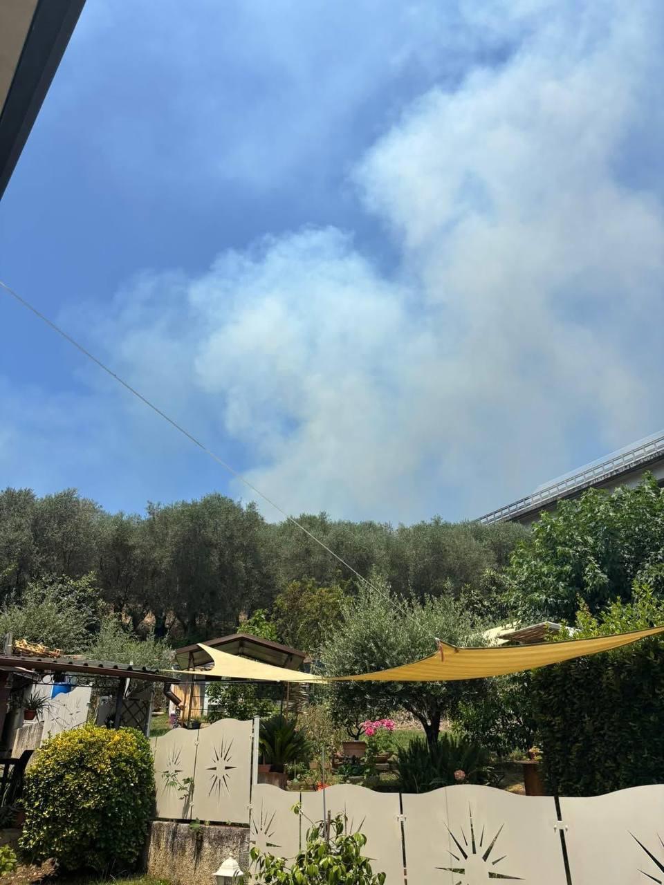 Torna l’incubo incendi a Massarosa, chiusa la Bretella Torna l’incubo incendi a Massarosa, chiusa la Bretella