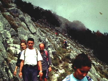 immagine articolo