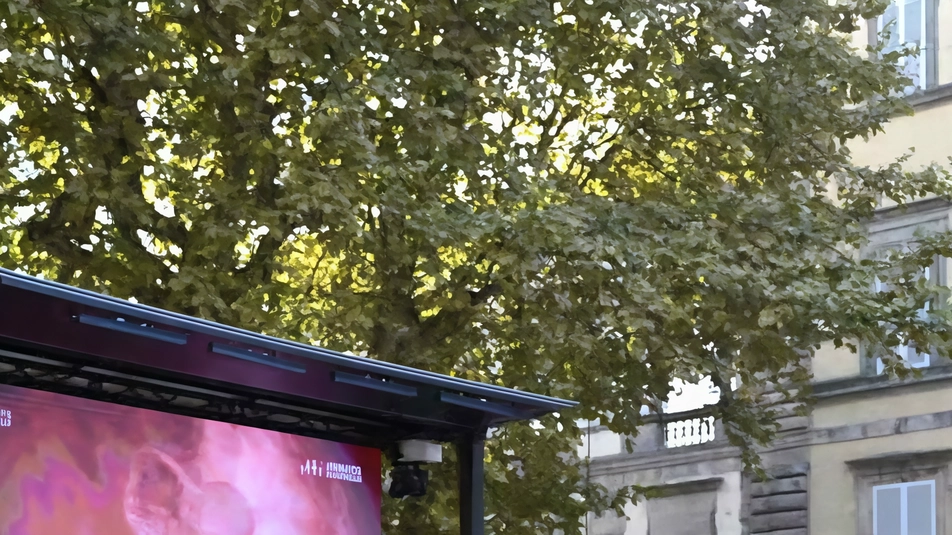 Proiezione a Lucca del video di Baby Olivia per promuovere la vita umana dal concepimento. Critiche e presenza della polizia durante l'evento. Partecipazione di esponenti politici di centrodestra. Proiezione a Lucca del video di Baby Olivia per promuovere la vita umana dal concepimento. Critiche e presenza della polizia durante l'evento. Partecipazione di esponenti politici di centrodestra.