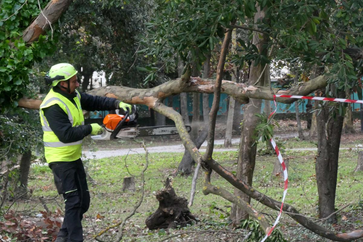 Meteo Toscana, l’allerta si sposta: ecco i comuni coinvolti. Poi tregua ma per due giorni Meteo Toscana, l’allerta si sposta: ecco i comuni coinvolti. Poi tregua ma per due giorni