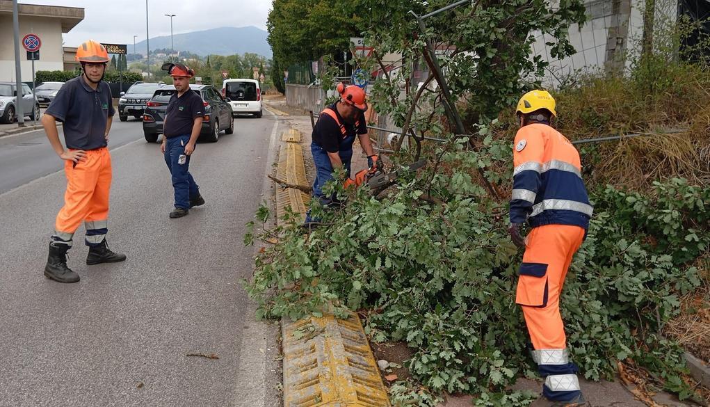 i danni a montemurlo calamai inammissibili guasti a impianti esistenti