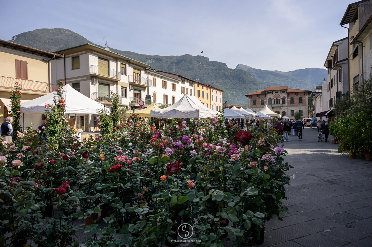 immagine di sfondo 15