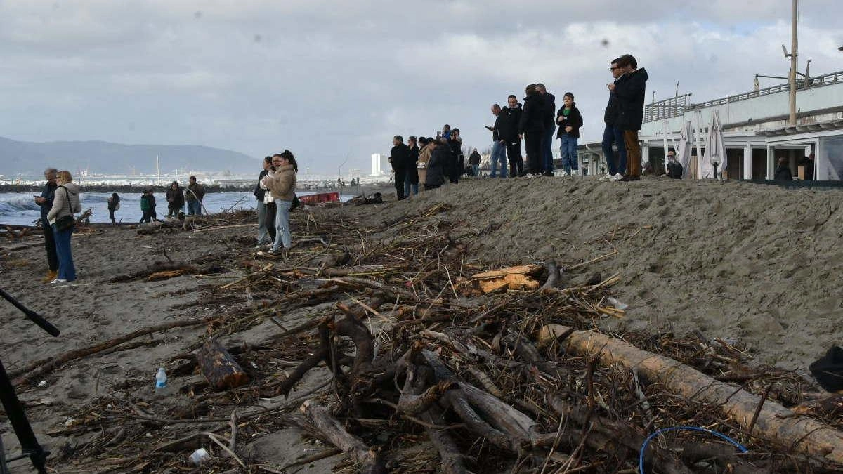 Spiagge del litorale apuano coperte di legname e turisti attirati dal relitto incagliato sul pontile di Marina di Massa (foto Nizza)