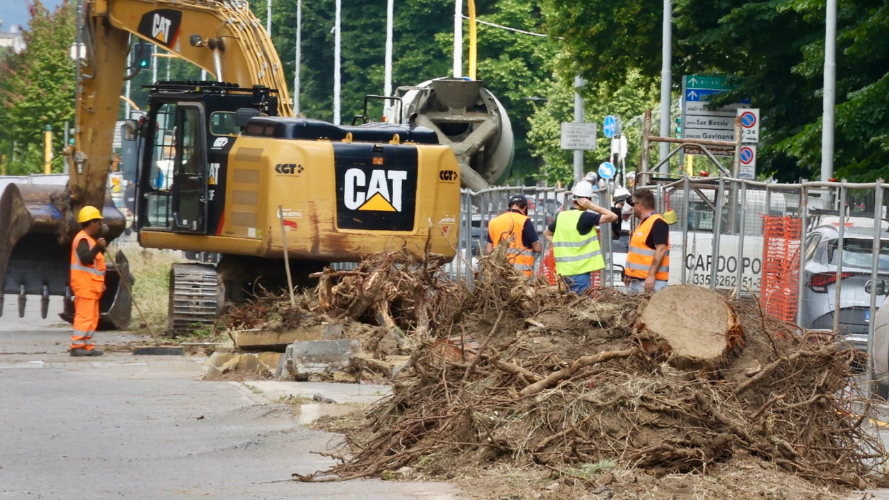 Due immagini del lungo filare di pini abbattuti sul lungarno Colombo (Foto Gianluca Moggi/New Press Photo)