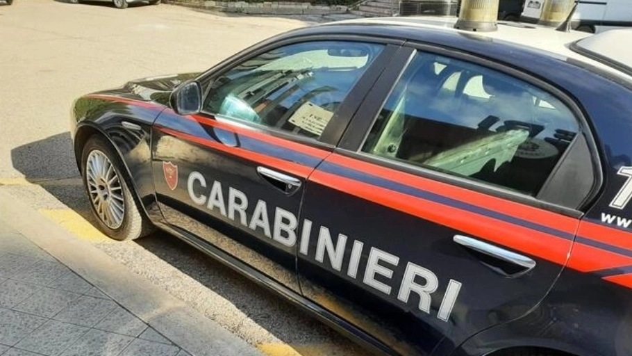 I carabinieri 