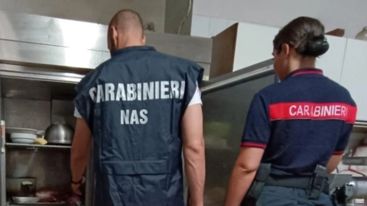 Un'ispezione dei carabinieri del Nas (foto di repertorio)