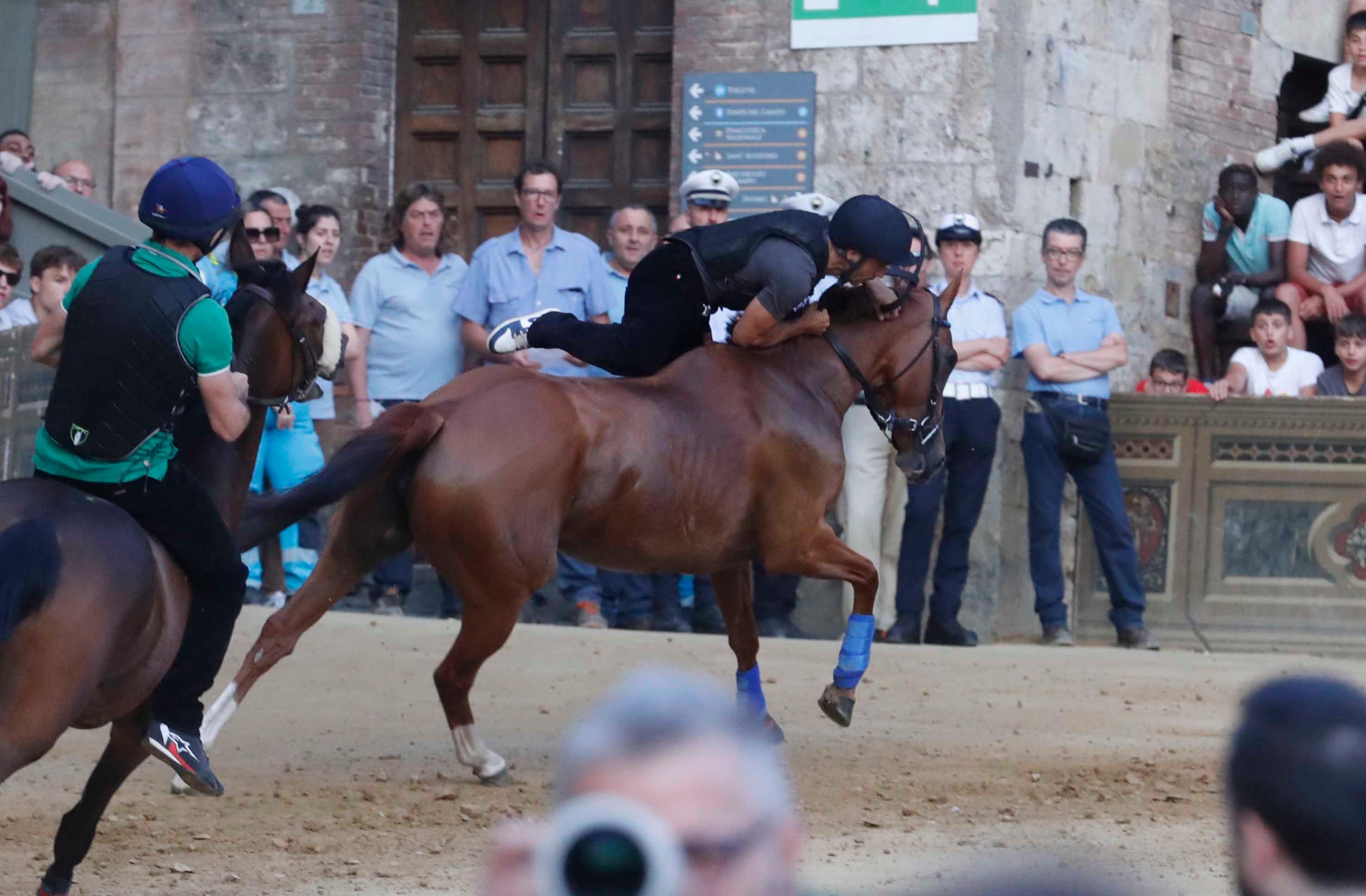 I cavalli più ambiti sotto la lente. “Ares va bene sul tufo, ora ci vinca”, perplessi delle scelte dei veterinari I cavalli più ambiti sotto la lente. “Ares va bene sul tufo, ora ci vinca”, perplessi delle scelte dei veterinari