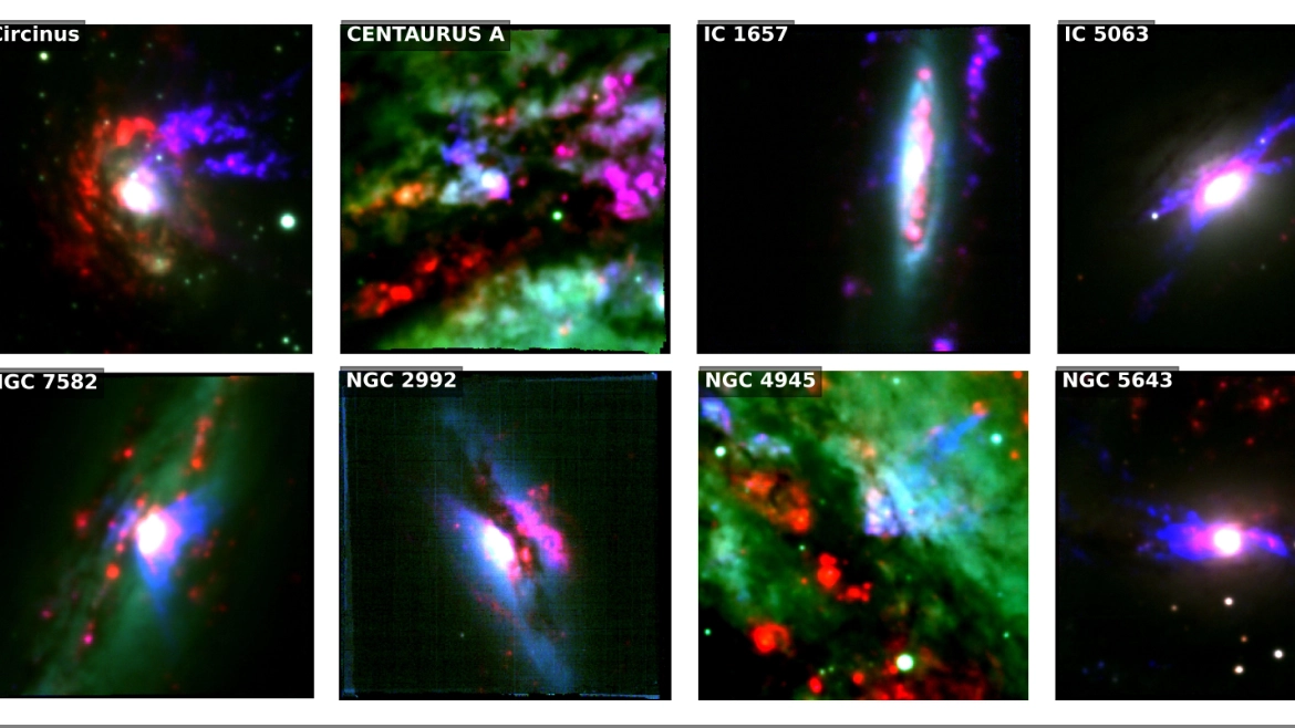 Mosaico di immagini RGB delle galassie analizzate (immagine a falsi colori, in cui si evidenzia l'emissione di componenti diversi della galassia con colori diversi)