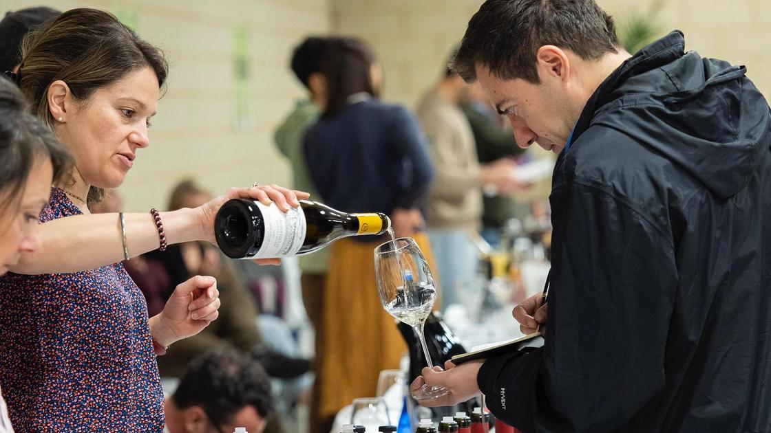 Cantine aperte 2025: vino e turismo. Le degustazioni e i tour in cantina Cantine aperte 2025: vino e turismo. Le degustazioni e i tour in cantina