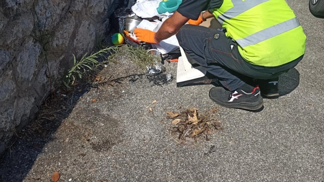 L’operatore ecologico ieri allo Stadio mentre rovista tra i rifiuti L’operatore ecologico ieri allo Stadio mentre rovista tra i rifiuti