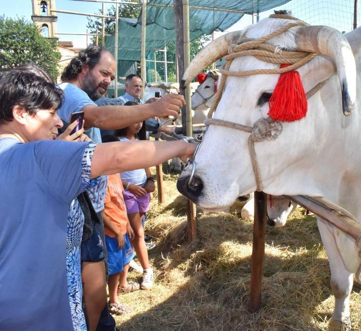 Il Settembre di eventi. La festa e la tradizione