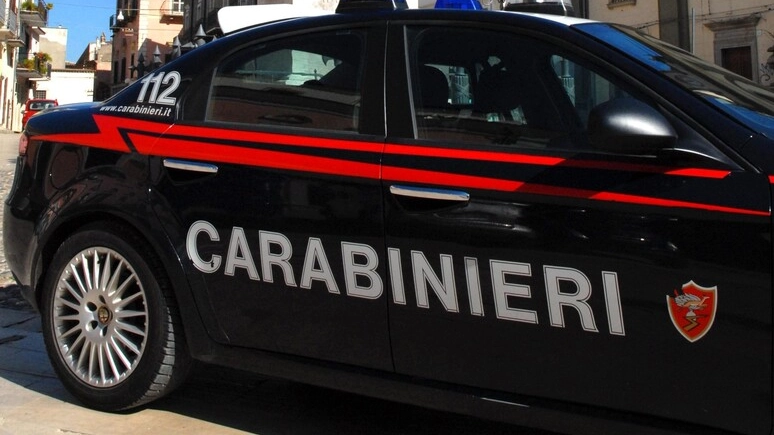 L'arresto eseguito dai carabinieri (Foto Ansa) L'arresto eseguito dai carabinieri (Foto Ansa)