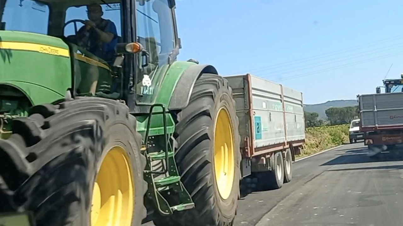 Sospiro di sollievo per la filiera dell’Altotevere che riguarda la produzione del tabacco Sospiro di sollievo per la filiera dell’Altotevere che riguarda la produzione del tabacco