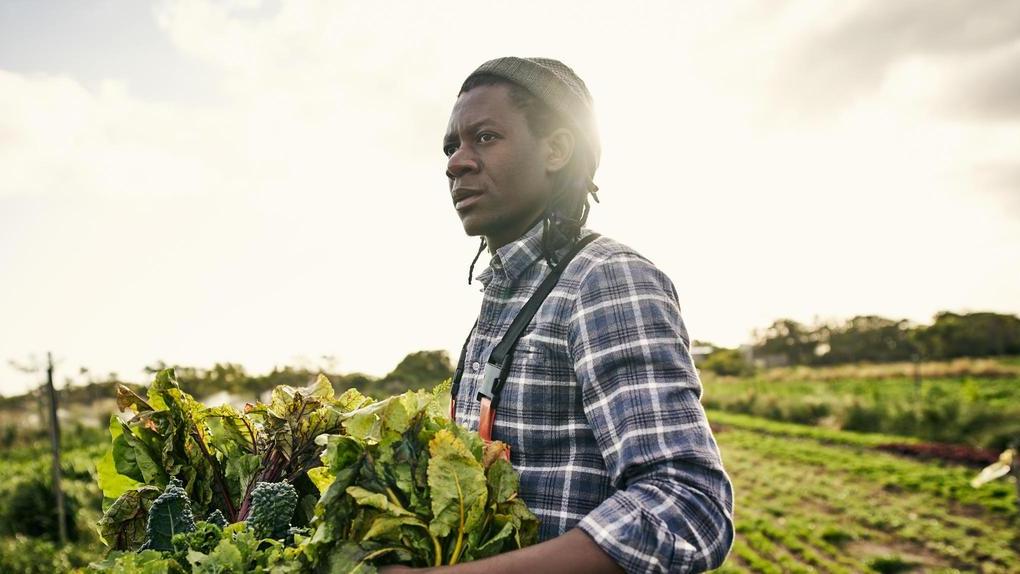 Lavoro alla luce del Soleil. Sfruttamento, chi denuncia va nel progetto d’inclusione