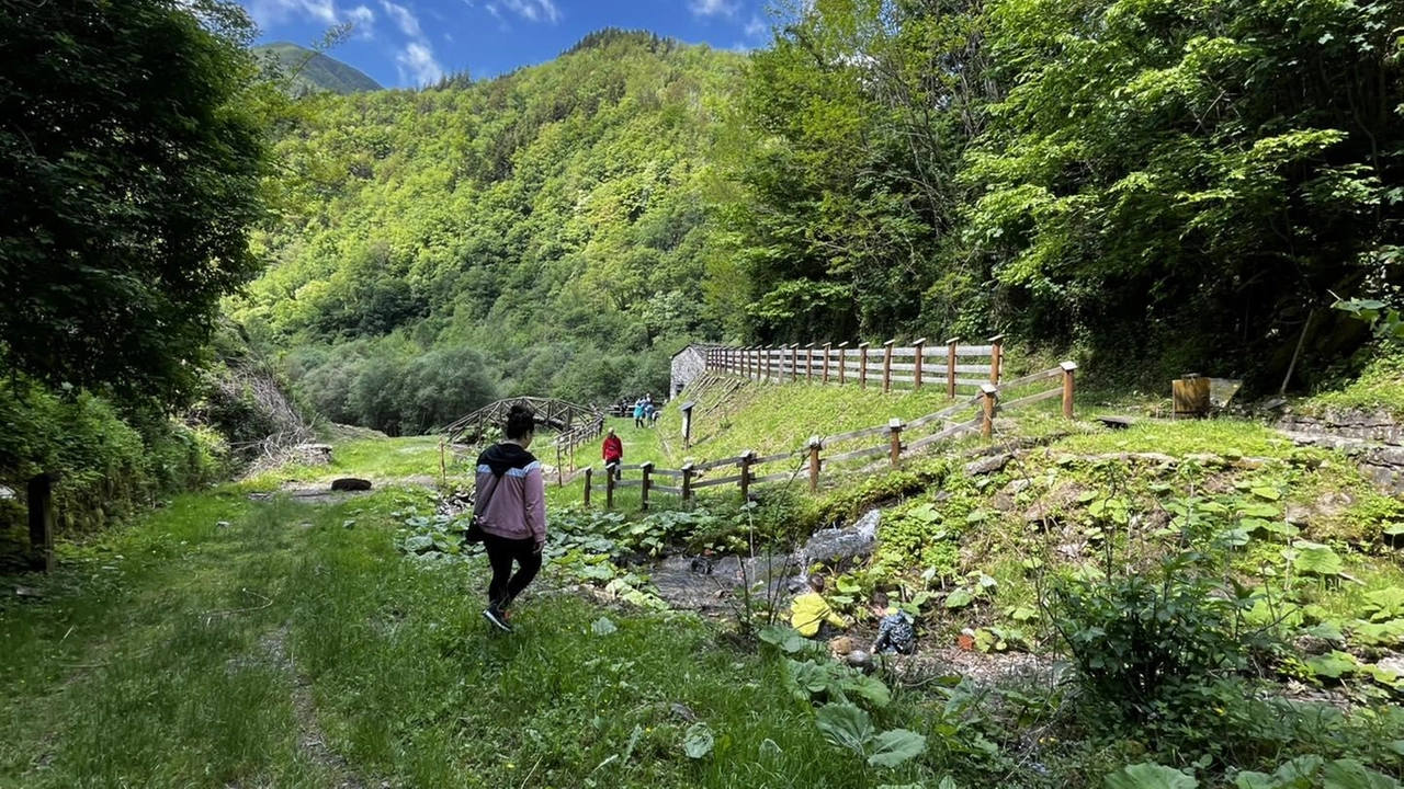 Una panoramica dell’Orsigna: i corti sono stati girati sulla Montagna Pistoiese confermando il rapporto tra cinema e territorio Una panoramica dell’Orsigna: i corti sono stati girati sulla Montagna Pistoiese confermando il rapporto tra cinema e territorio