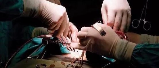 La cultura del donare “Si salvano più vite“