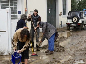 immagine articolo