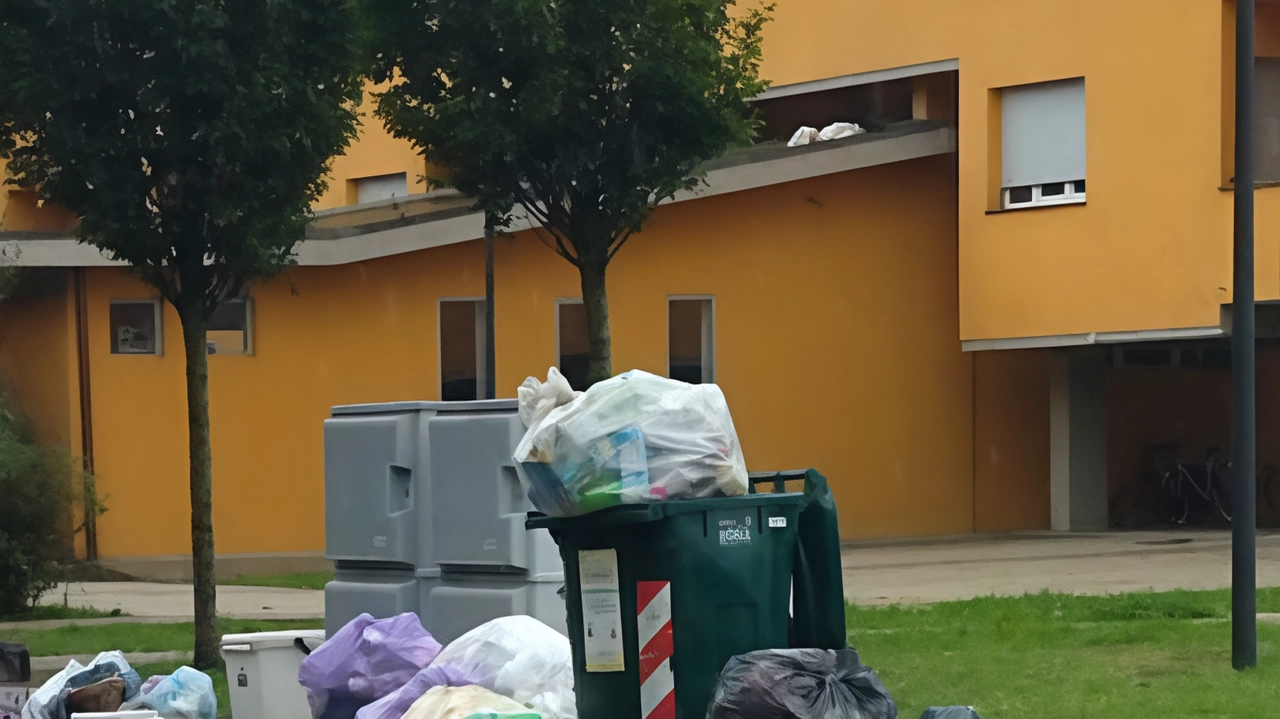 Cestini colmi di rifiuti che attirano l’attenzione di piccioni e gabbiani Cestini colmi di rifiuti che attirano l’attenzione di piccioni e gabbiani