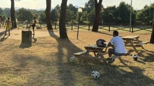 AREZZO Un progetto di riqualificazione dell’area verde della parrocchia di San Zeno. L’iniziativa è nata dalla sinergia tra il locale...