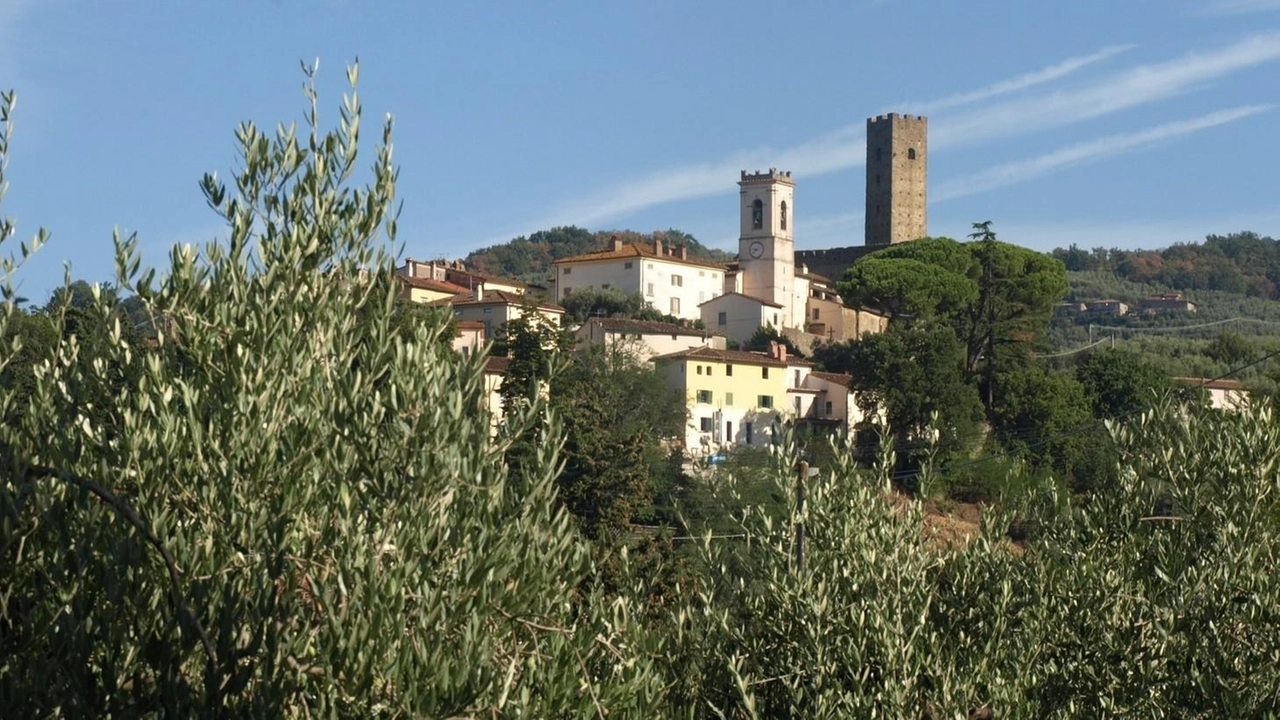 Calo sul Montalbano. La crescita di Pescia