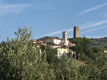 immagine articolo