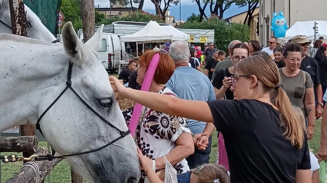 Il sindaco Romiti: "C’erano almeno tremila persone e vedere insieme genitori, nonni e bambini è stato senz’altro positivo". Intanto la festa continua. Il sindaco Romiti: "C’erano almeno tremila persone e vedere insieme genitori, nonni e bambini è stato senz’altro positivo". Intanto la festa continua.