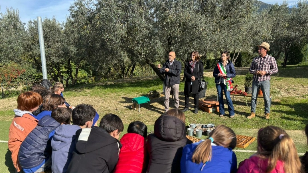 Sesto, al via la piantagione del bosco didattico alla scuola primaria Pascoli