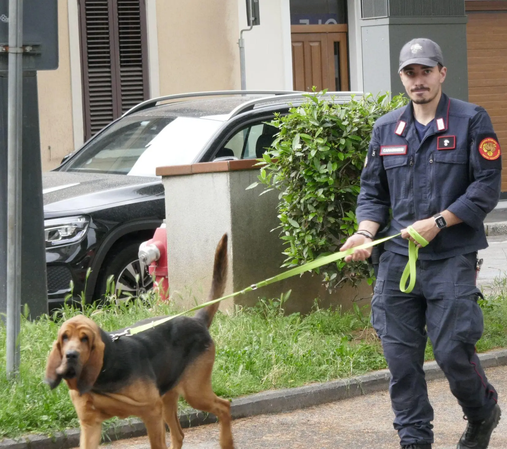 I cani molecolari nella stanza. E’ caccia al dna di Denisa