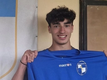 immagine articolo