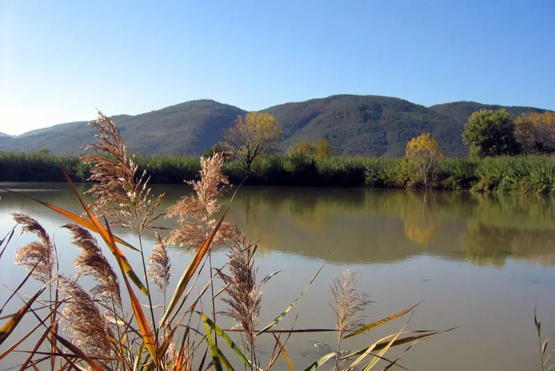 Scaricano vernici, lubrificanti e oli nel fiume Magra, 13 denunciati