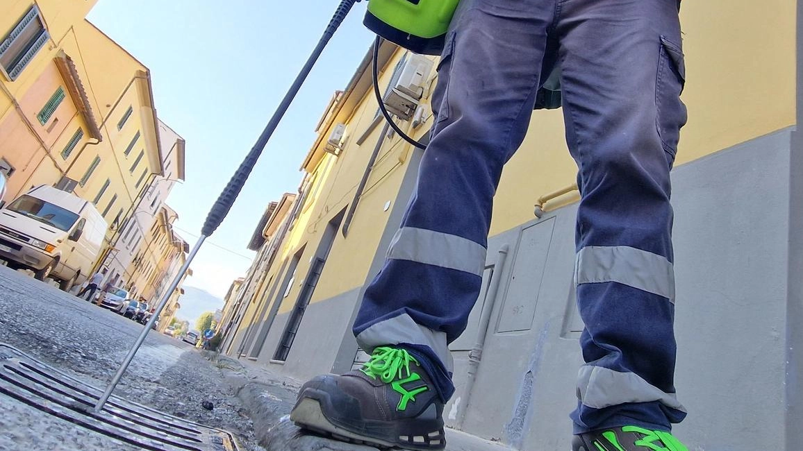Alcuni momenti della disinfestazione (fotoservizio Acerboni/fotoCastellani) Alcuni momenti della disinfestazione (fotoservizio Acerboni/fotoCastellani)