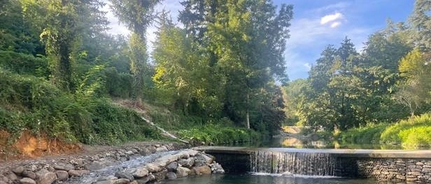 Terranuova Bracciolini, al via un ampio piano di manutenzione dei corsi d'acqua