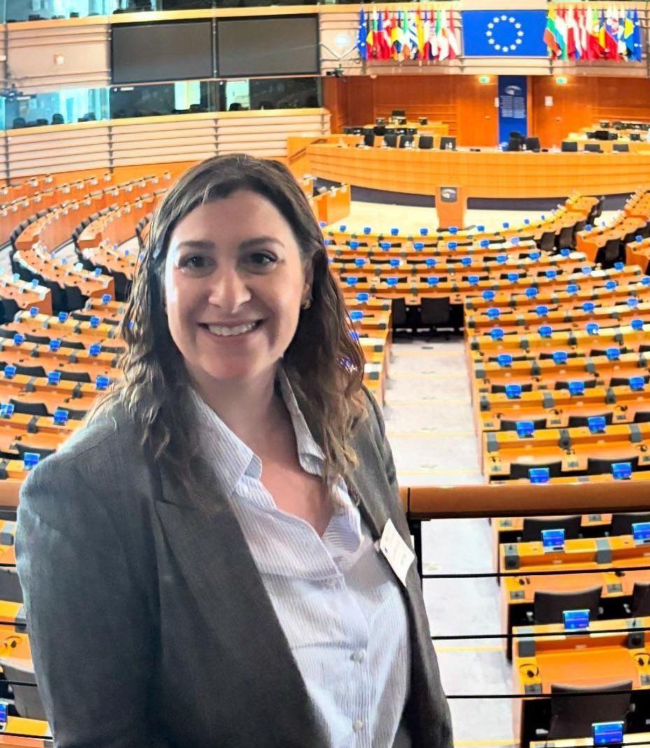 https://www.lanazione.it/image-service/view/acePublic/alias/contentid/YWQ4MWEzYTgtMDE5ZC00/0/irene-e-la-scalata-a-bruxelles-lue-e-uno-spazio-di-pace-che-tocca-a-noi-difendere.jpeg