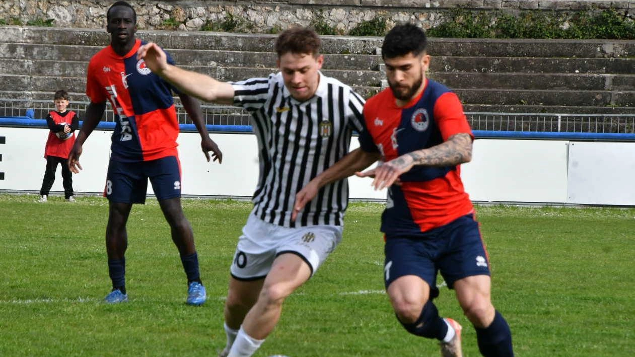 Calciomercato. Massese alla finestra in cerca di super affari. Dagli acquisti si capirà il modulo per il campo