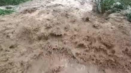 Il Cancandola a Sarzana ha impensierito non poco gli abitanti della zona Il Cancandola a Sarzana ha impensierito non poco gli abitanti della zona