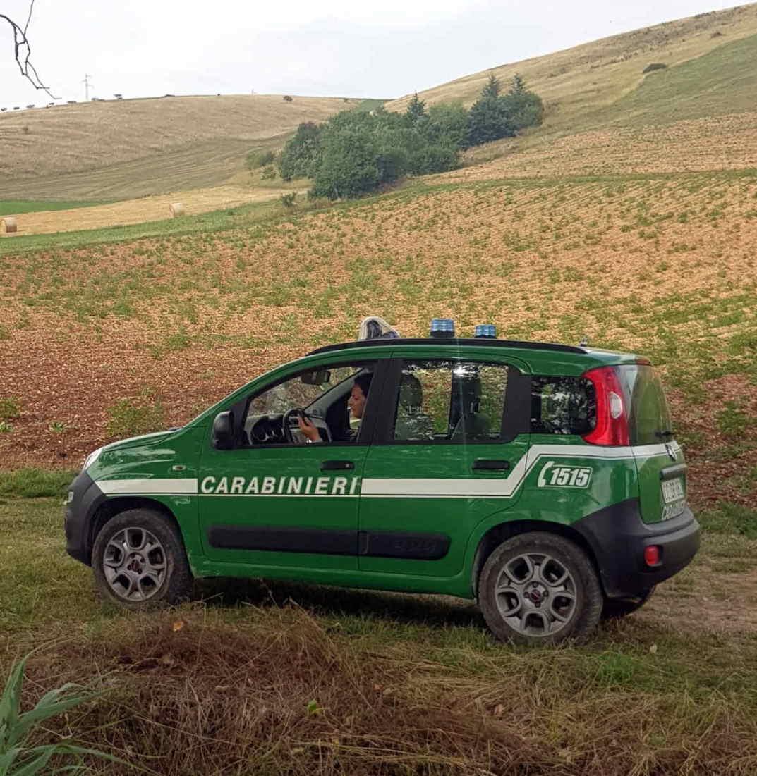 Roccastrada, scoperto deposito abusivo di rifiuti pericolosi: sequestrata un’area di 200 metri quadri Roccastrada, scoperto deposito abusivo di rifiuti pericolosi: sequestrata un’area di 200 metri quadri
