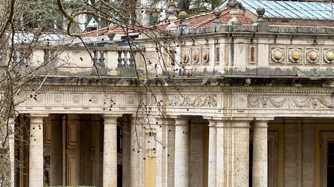 MONTECATINI TERME È alta l’attesa per i risultati della perizia dell’agronomo nel parco delle Terme Tettuccio, dopo il brusco crollo del... MONTECATINI TERME È alta l’attesa per i risultati della perizia dell’agronomo nel parco delle Terme Tettuccio, dopo il brusco crollo del...