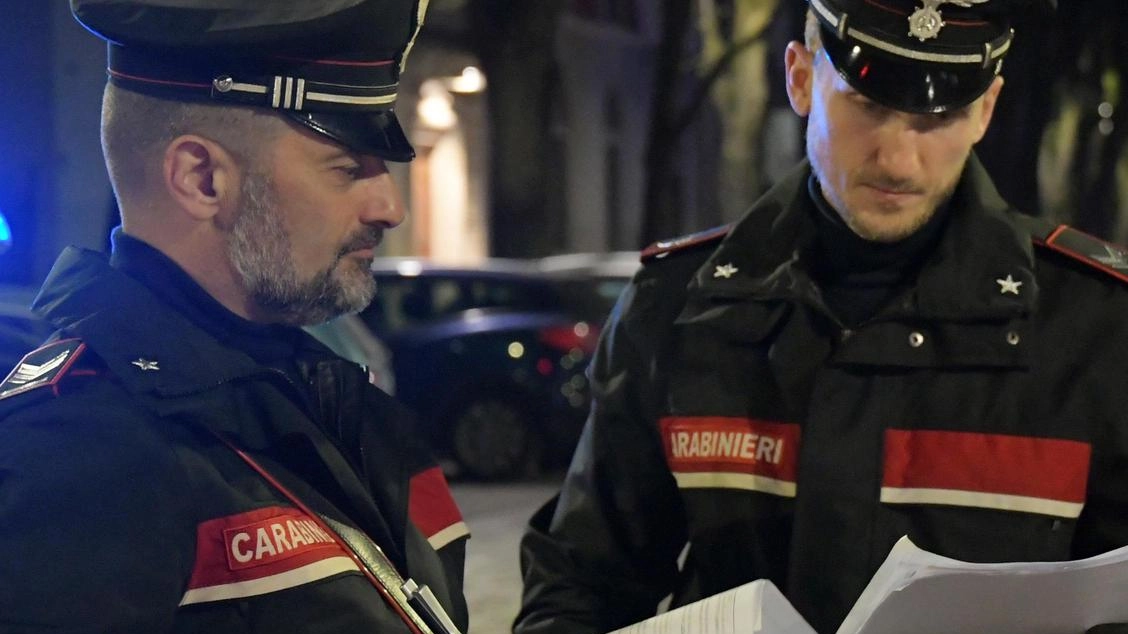 Le indagini sono state seguite dai carabinieri della Sezione operativa del Norm della Compagnia di Pisa (. foto di repertorio Le indagini sono state seguite dai carabinieri della Sezione operativa del Norm della Compagnia di Pisa (. foto di repertorio