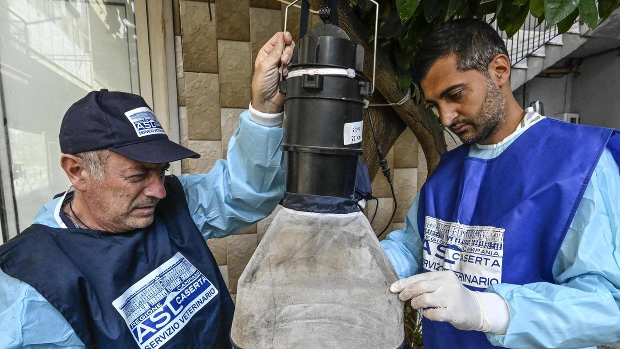 Operadores envolvidos na instalação de armadilhas de mosquito