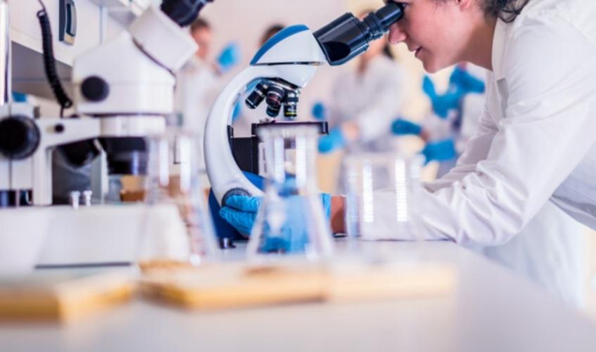 Nuovi farmaci da Lanazione.it nuovi farmaci con l intelligenza artificiale il progetto dell università di pisa