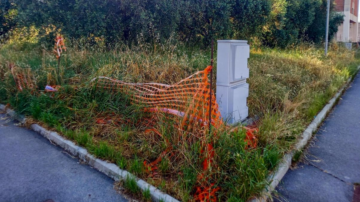 Cattivi odori, sterpaglie e un motorino abbandonato nel giardino tra via di Calenzano e via del Noce. Residenti esasperati: "La situazione è tornata a essere insostenibile, chiediamo un nuovo intervento".